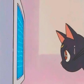 Idgaf Pt2 AbnormallyDe4d