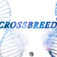 CrossBreed - RootzBeatz