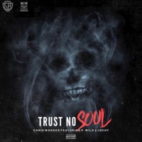 Trust No Soul (feat. P-Wild & Jochy) - Single - Chris Wonder
