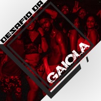 Desafio da Gaiola - Single - Bruno Mattola