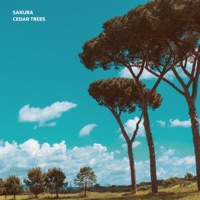 Cedar Trees - EP - Sakura