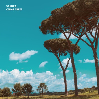 Cedar Trees - EP