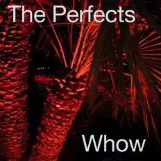 The Perfects: песни, клипы, биография, даты выступлений и многое другое.