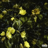 The Song I Promised I'd Write You - Single - XINCLAIR