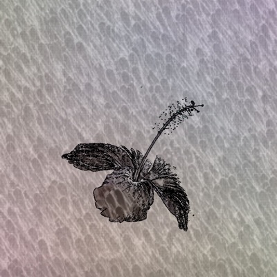 Bullets and Brain Boosters - Single