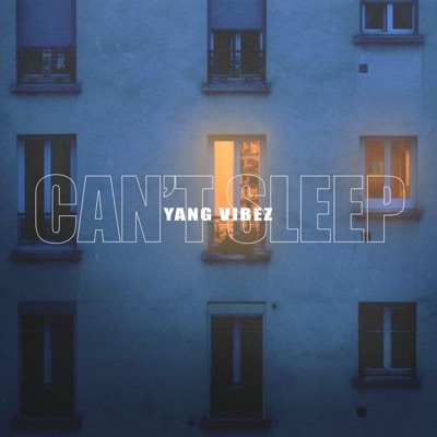 Can't Sleep - Single