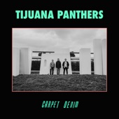 Tijuana Panthers - Friday Night Baby