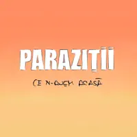 Ce N-Avem Acasă