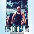 Für die Gains