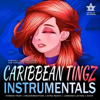 Caribbean Tingz Vol. 1 ((Instrumental)s) - Armada the Producer