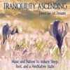 Tranquility Ascending (Music and Nature to Induce Sleep, Rest, And a Meditative State)