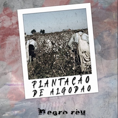 Plantação de Algodão - Single