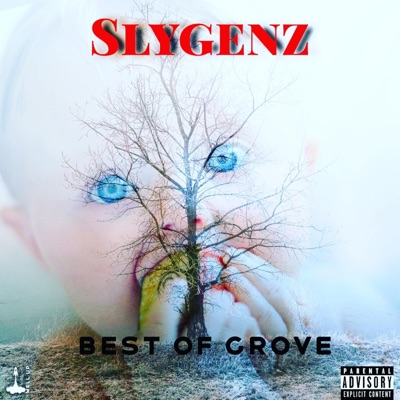 Best of Grove (Mr Wassy Story)