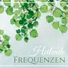 Schlafmusik Academie - Heilende Frequenzen
