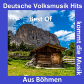 Cover art for Deutsche Volksmusik Hits: Aus Böhmen kommt die Musik - Best Of by Various Artists