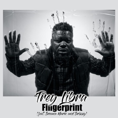 Fingerprint (feat. Breana Marin & Brizzy) - Single