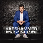 Turn It Up (Radio Remix) artwork