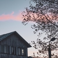 Нежно-розовый - EP - Cold Carti