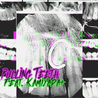 Pulling Teeth (feat. Kamiyada+) - Single - Sorry X
