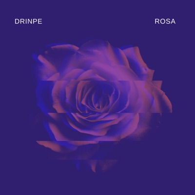 Rosa - Single