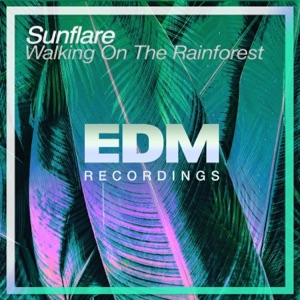Walking On the Rainforest - Single