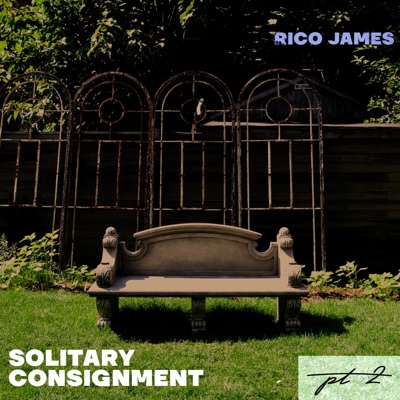 Solitary Consignment, Pt. 2