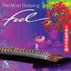 Feel, Vol. 2 (The Most Relaxing "Gu - Zang") - YANG PEI - XIUN
