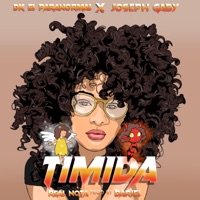 Timida (feat. Joseph Gaby) - Single - Dk el Paranormal