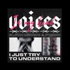 Voices - Single