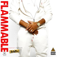 Flammable - Single - StickyWow