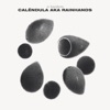 Caléndula Aka Rainhands - Single