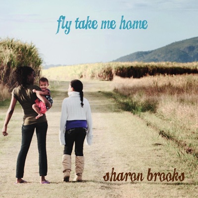 Fly Take Me Home - Single