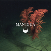 Manigua - VTZN