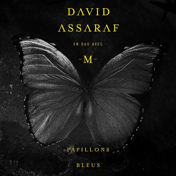 Papillons bleus (feat. -M-) [Edit] - Single - David Assaraf