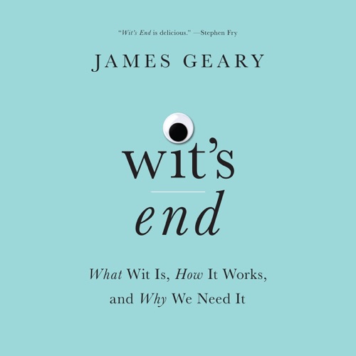 Wit's End: What Wit Is, How It Works, and Why We Need It (Unabridged) cover