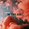 In the Air artwork