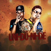 Uni Du Ni De (Remix) [feat. Mc Todynho bh] - Single - BLK Pernambucano