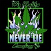 Never Lie