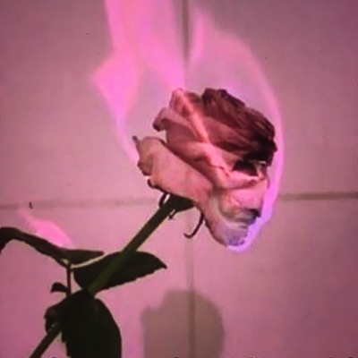 Like (feat. Notsponsoredbynike) - Single