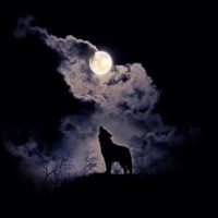 Rolling Boy - Mbs Rolling