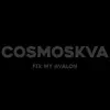 COSMOSKVA - Fix My Avalon