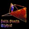 Bird-Bone Hail Storm - Swin Deorin lyrics