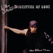 Men Without Women (Deluxe Edition) [feat. Little Steven & the Disciples of Soul] artwork