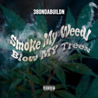 Smoke My Weed Blow My Trees (feat. 380ndabuildn) - Single - Tribe