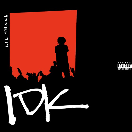 Cover artwork for IDK