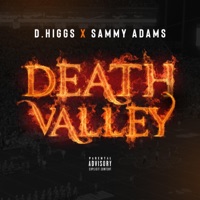 Death Valley - Single - D.Higgs & Sammy Adams