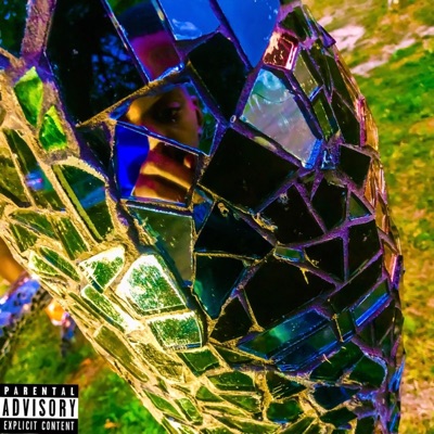 Don't Disturb My Peace