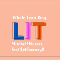 Whole Team Stay Lit (feat. SpidaCrazy8) - Single - Mitchell Finesse