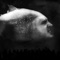 Pirania - Kosa lyrics