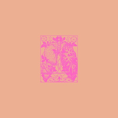 Collapsed Lung - Single